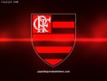 /album/galeria-de-fotos/flamengo-2012-papel-de-parede-3-800x600-jpg/